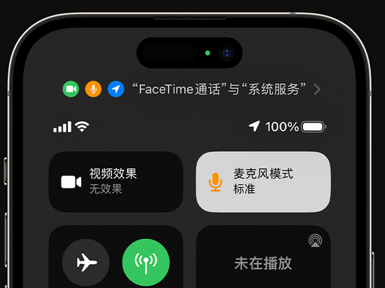 龙港苹果授权维修网点分享iPhone在通话时让你的声音更清晰 