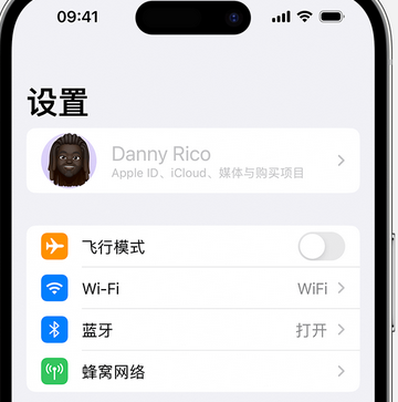 龙港appleID维修服务iPhone设置中Apple ID显示为灰色无法使用