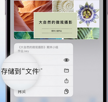 龙港apple维修中心分享iPhone文件应用中存储和找到下载文件