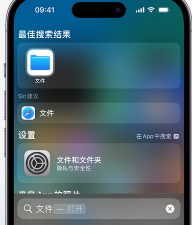 龙港apple维修中心分享iPhone文件应用中存储和找到下载文件 