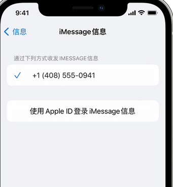 龙港apple维修iPhone上无法正常发送iMessage信息 