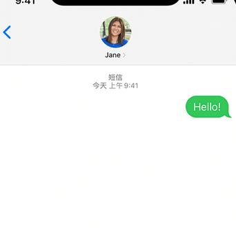 龙港apple维修iPhone上无法正常发送iMessage信息