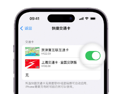 龙港apple维修点分享iPhone上更换Apple Pay快捷交通卡手绘卡面 