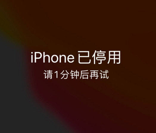 龙港苹果手机维修分享:iPhone 显示“不可用”或“已停用”怎么办？还能保留数据吗？ 