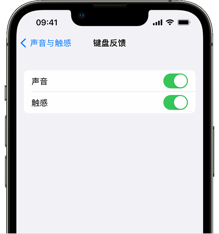 龙港苹果14维修店分享如何在 iPhone 14 机型中使用触感键盘 