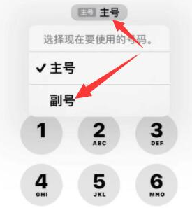 龙港苹果14维修店分享iPhone 14 Pro Max使用副卡打电话的方法 