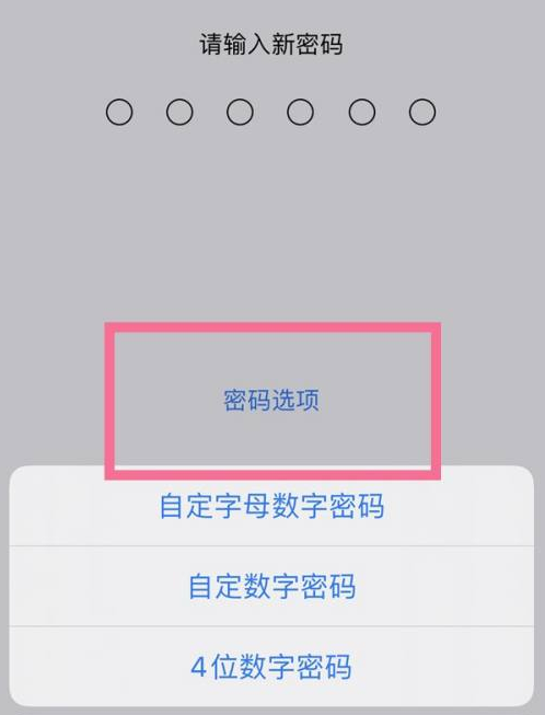 龙港苹果14维修分享iPhone 14plus设置密码的方法 