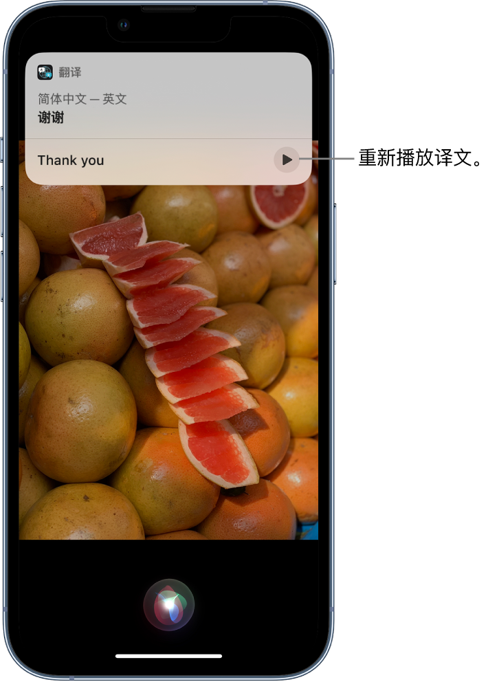 龙港苹果14维修分享 iPhone 14 机型中使用 Siri：了解 Siri 能帮你做什么 