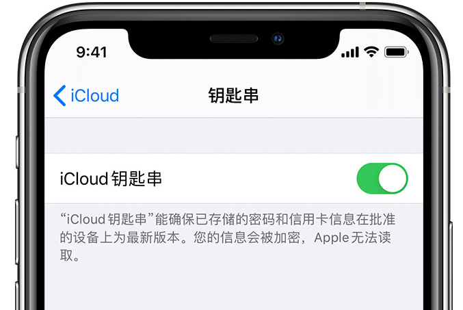 龙港苹果手机维修分享在 iPhone 上开启 iCloud 钥匙串之后会储存哪些信息 