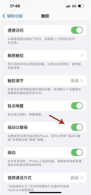 龙港苹果手机维修分享iPhone手机如何设置摇一摇删除文字 