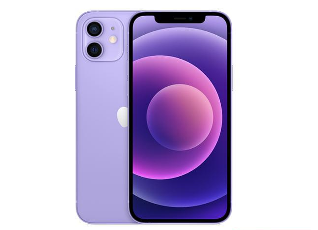 龙港苹果手机维修分享现阶段要不要入手紫色版iPhone12 
