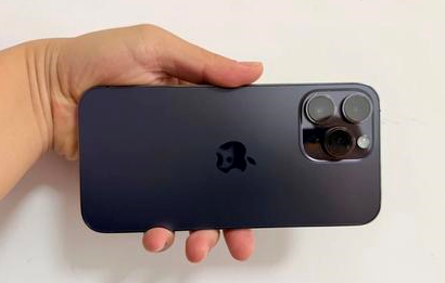 龙港苹果维修点分享iPhone 14 Pro Max扩容实战误区 