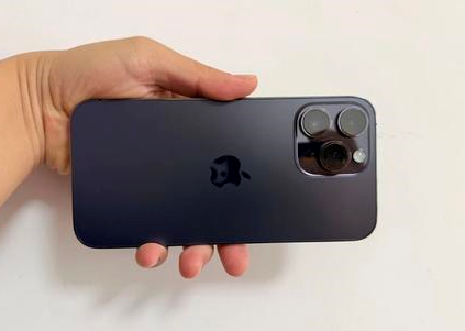 龙港苹果维修点分享iPhone 14 Pro Max黑屏少见故障盘点 